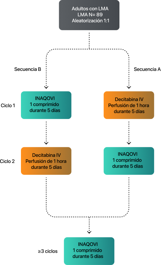 Diseño del estudio